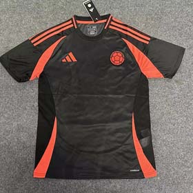 24/25 Adidas season America's Cup football uniform new quick-drying customized short-sleeved T-shirt sports uniform men(40 styles)-1898